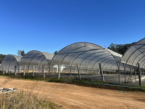 Modern Agricultural Cucumber Greenhouse Solution